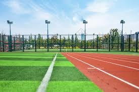 体彩数据：盘口变化与成交量的因果关系。（基于体彩数据的盘口变动与成交量因果关联分析）